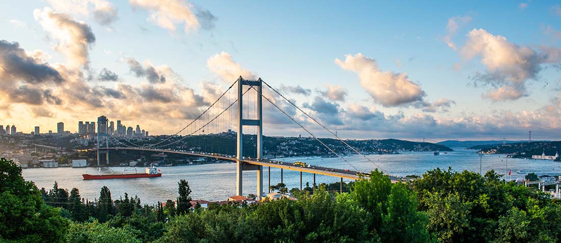 View of Istanbul and a bridge